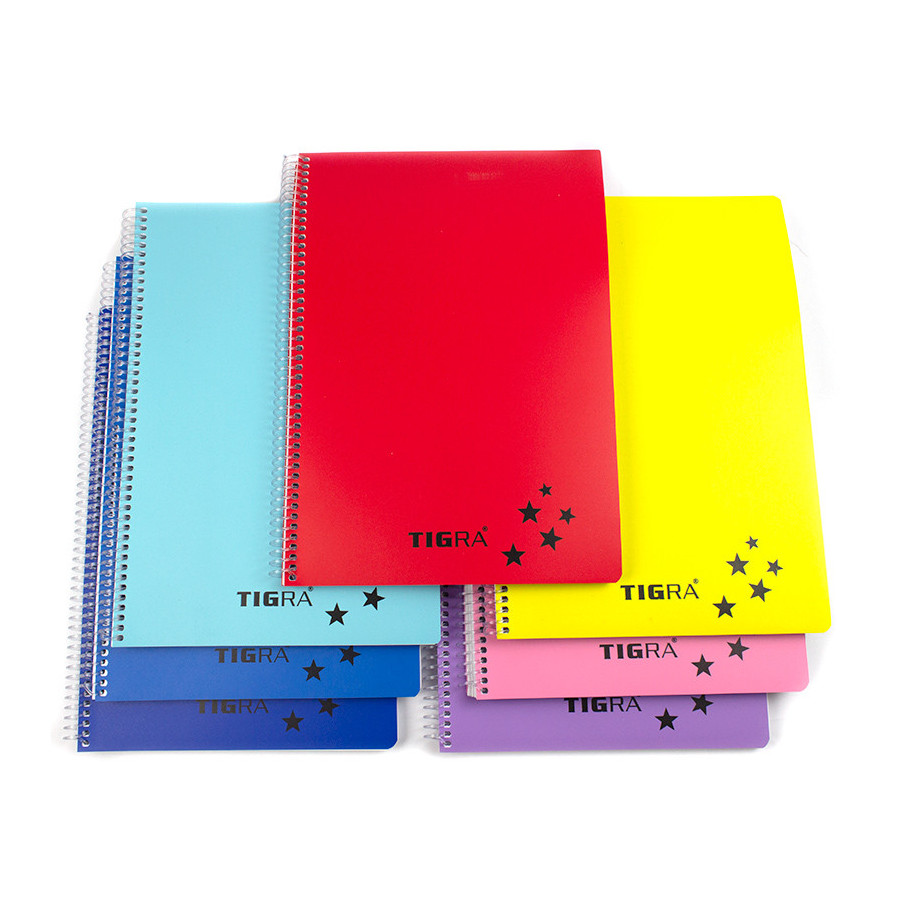 Caiet A4 cu spira si coperti din plastic, 120 file-matematica - 1