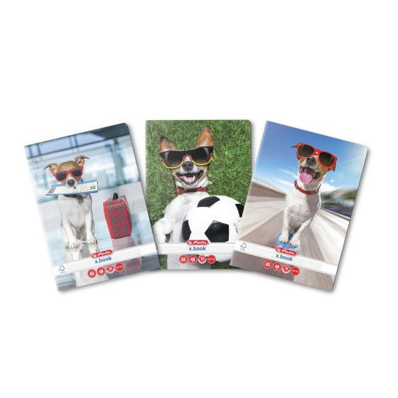 CAIET HERLITZ A5 48 FILE DICTANDO COOL DOG - 1